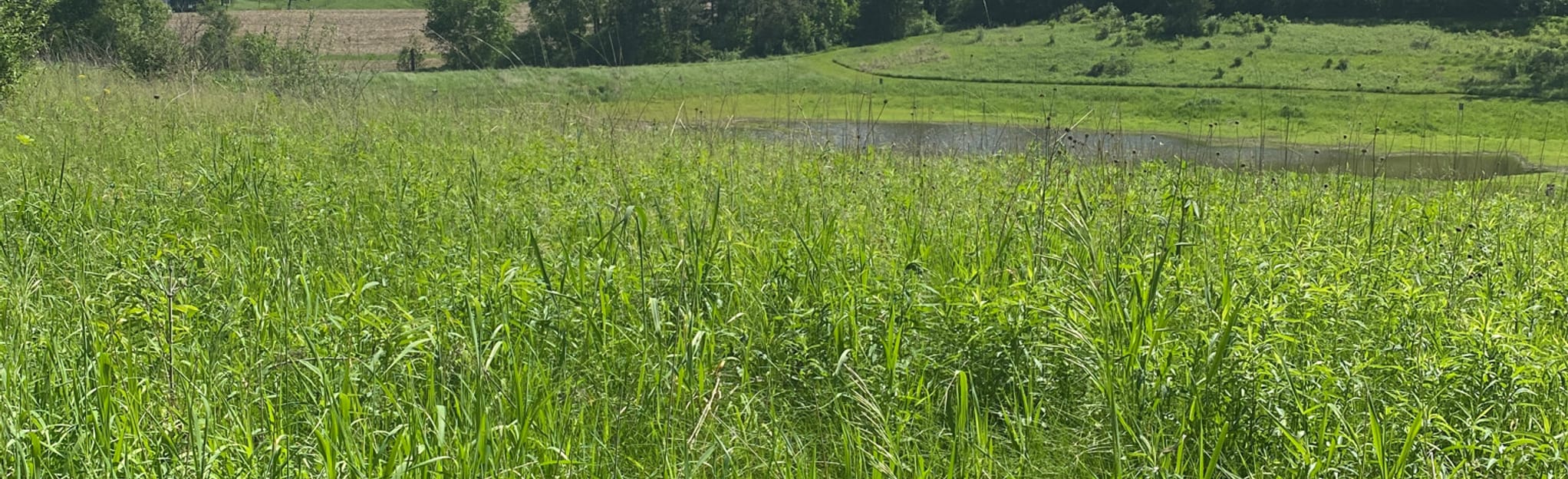 Wapsi River Trails, Iowa 16 Reviews, Map AllTrails