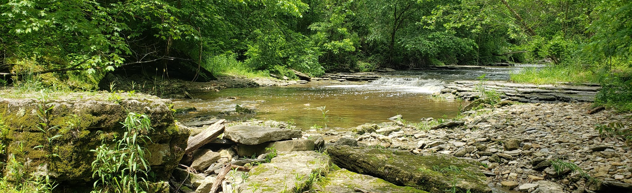 Clifty Falls Trails 5 4 3 2 - EyJidWNrZXQiOiJhc3NldHMuYWxsdHJhaWxzLmNvbSIsImtleSI6InVwbG9hZHMvcGhvdG8vaW1hZ2UvMjY3NjExOTYvN2IyNzRlOTBkZWVmM2I0YTNhY2I3YTU3NWNiZjFhOGIuanBnIiwiZWRpdHMiOnsidG9Gb3JtYXQiOiJqcGVnIiwicmVzaXplIjp7IndpZHRoIjoyMDQ0LCJoZWlnaHQiOjYyNCwiZml0IjoiY292ZXIifSwicm90YXRlIjpudWxsLCJqcGVnIjp7InRyZWxsaXNRdWFudGlzYXRpb24iOnRydWUsIm92ZXJzaG9vdERlcmluZ2luZyI6dHJ1ZSwib3B0aW1pc2VTY2FucyI6dHJ1ZSwicXVhbnRpc2F0aW9uVGFibGUiOjN9fX0=