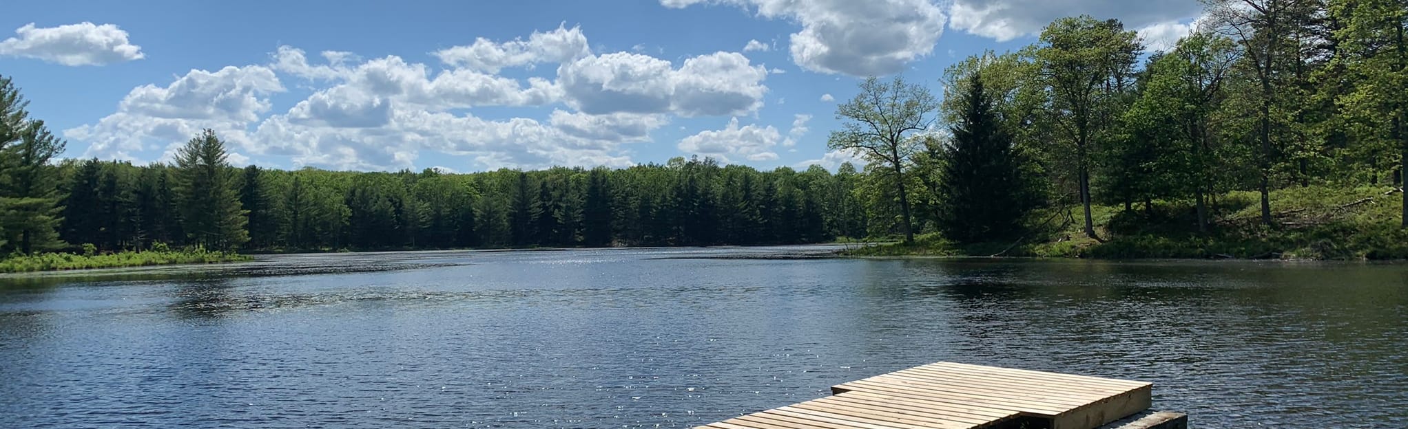 Stairway Lake Trail, Pennsylvania 143 Reviews, Map AllTrails