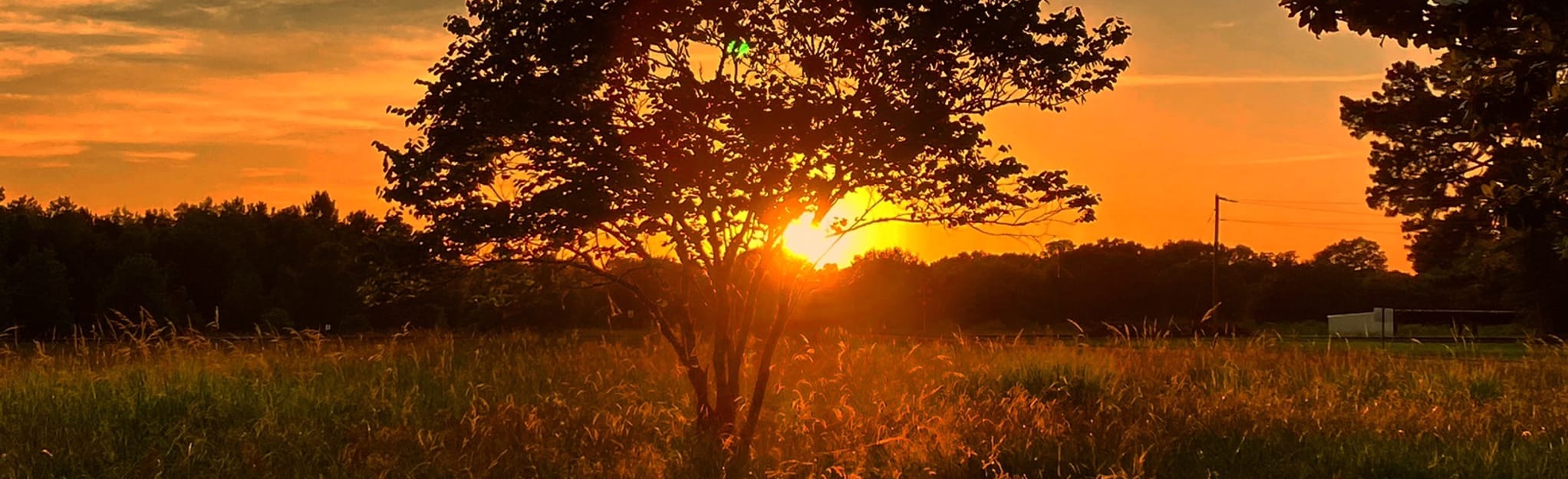 Prairie Trail 7 Reviews, Map Louisiana AllTrails