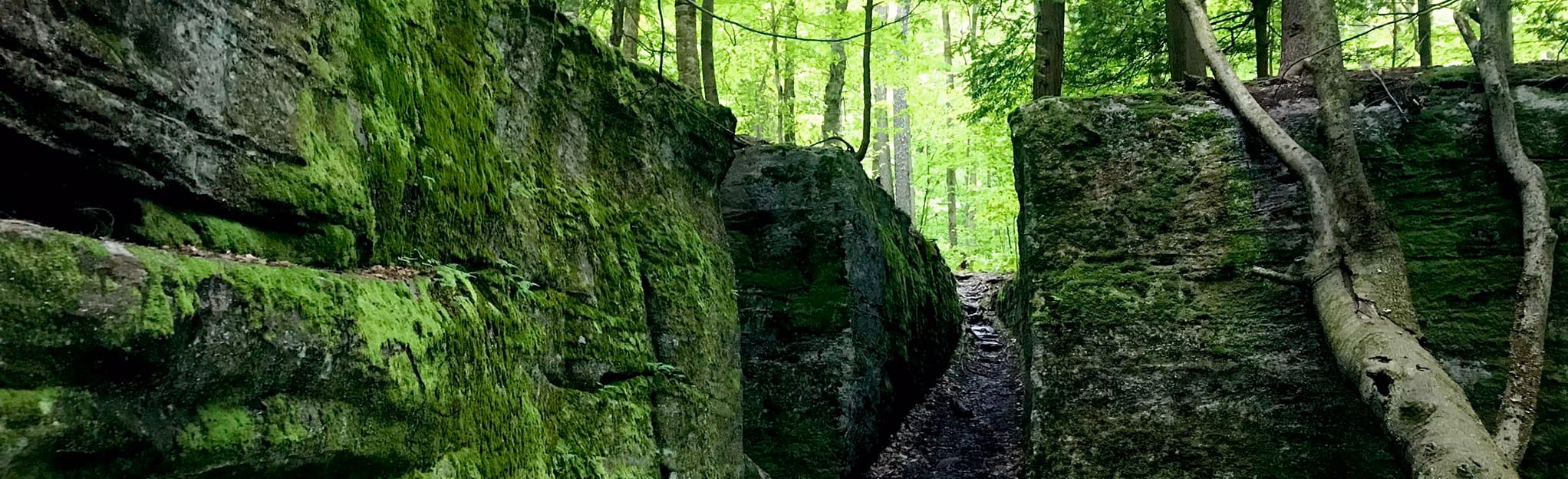 Rim, Bent Rim, Tornado Pass, and Billygoat Trails Loop 386 Reviews, Map New York AllTrails