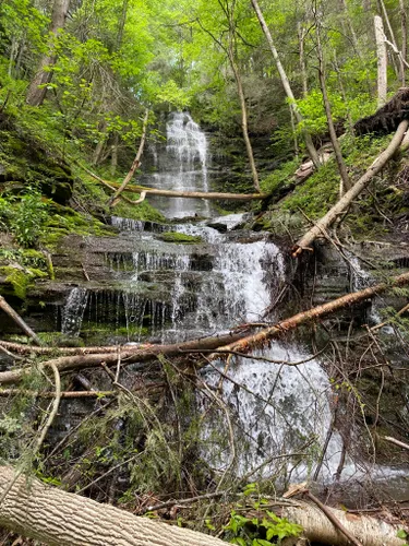 Best Hikes and Trails in Pine Creek Gorge Natural Area | AllTrails