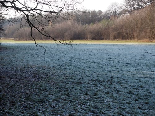 Rundwanderung Hauptendorf bei Herzogenaurach
