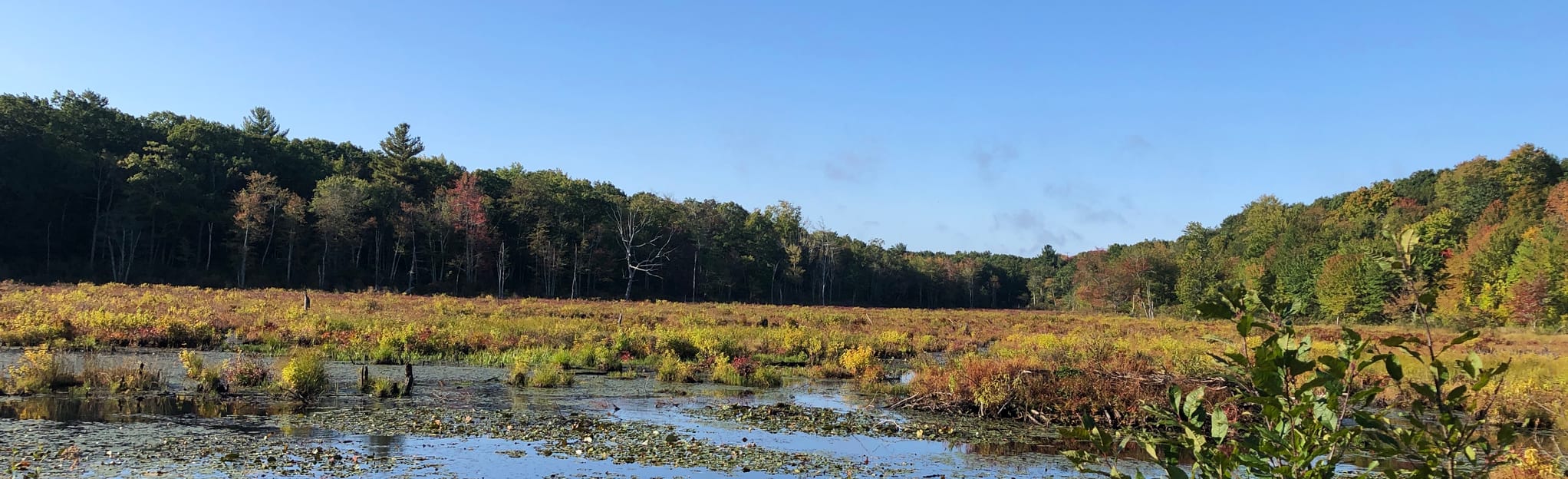 Phillips Farm, Connecticut 18 Reviews, Map AllTrails
