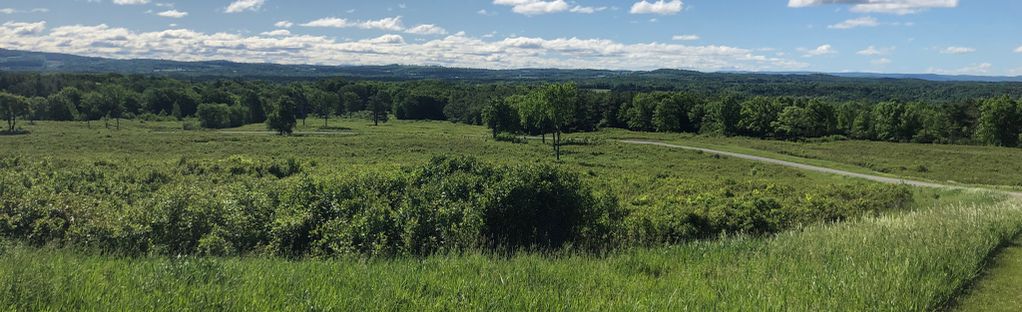 are dogs allowed on battle field trail mass