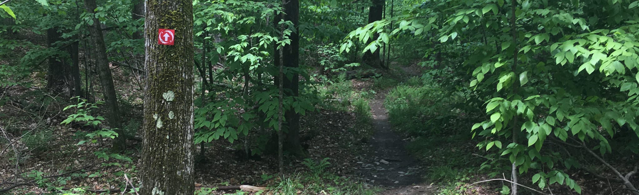 AllTrails Maiden, Eagle, Back Door, Dragon, Lost, and Passing the