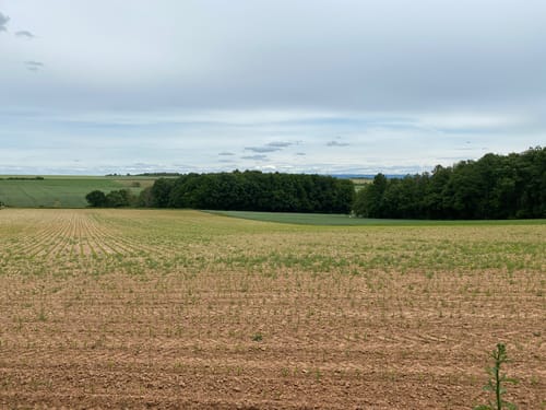 Kreuzberg nach Haid über Hallerndorf