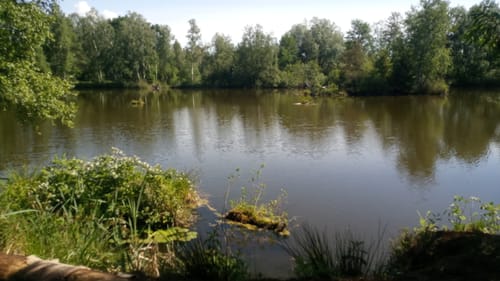 Pfrunger-Burgweiler Ried