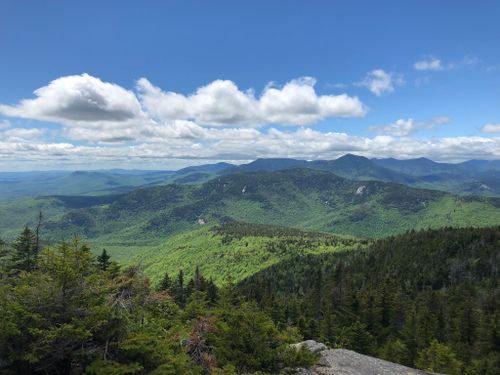 are dogs allowed hiking trails white mountains