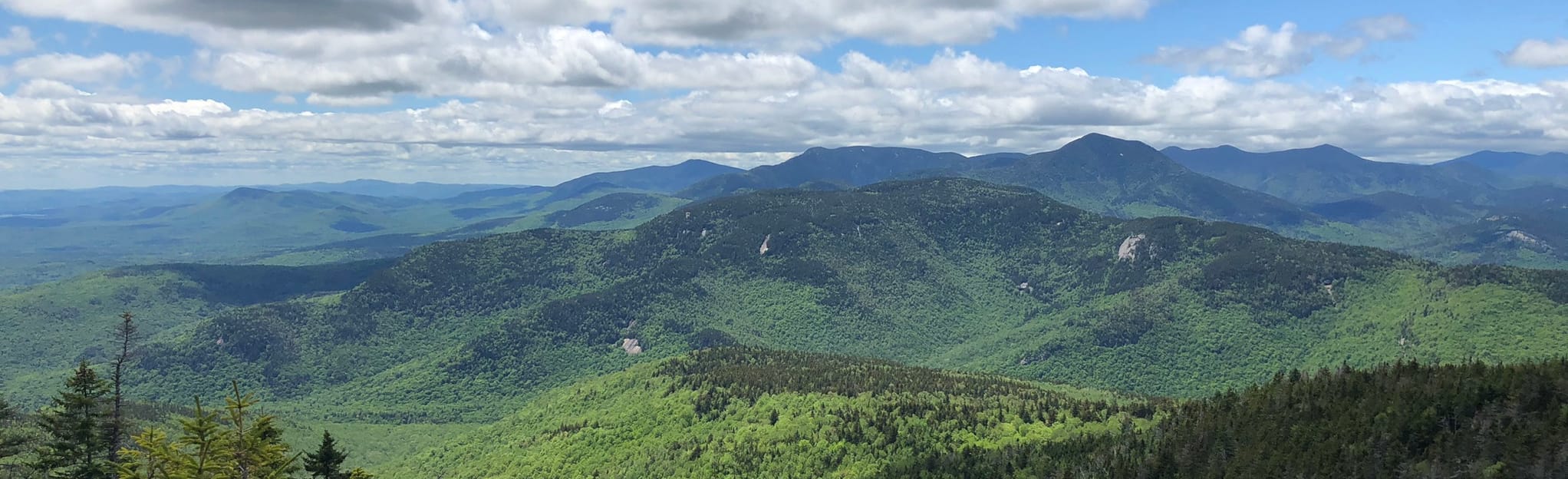 Piper Trail, New Hampshire 1,219 Reviews, Map AllTrails