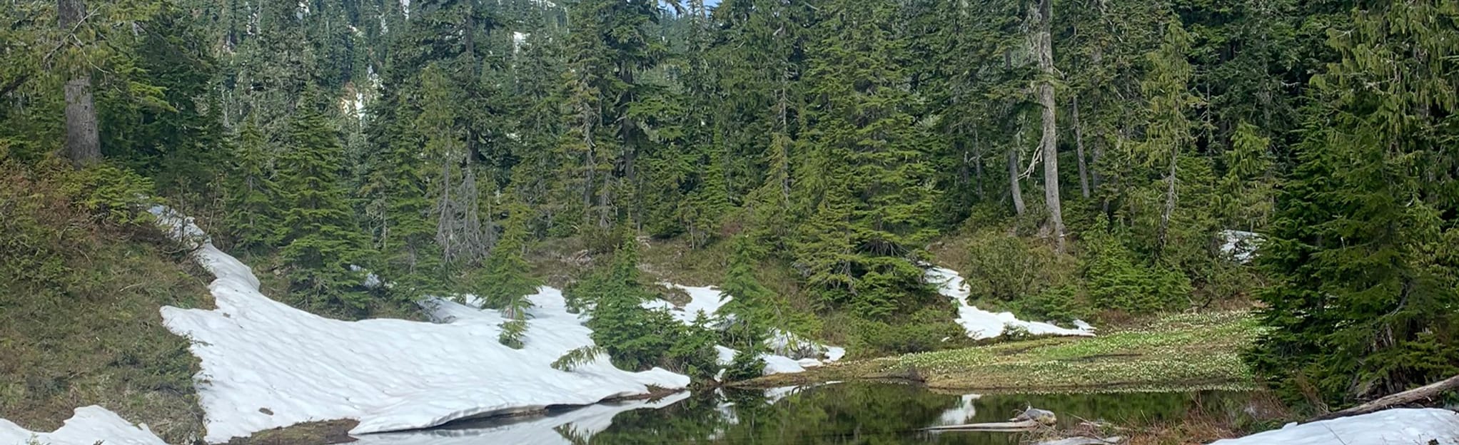 Lake Sundown Trail, Washington 26 Reviews, Map AllTrails