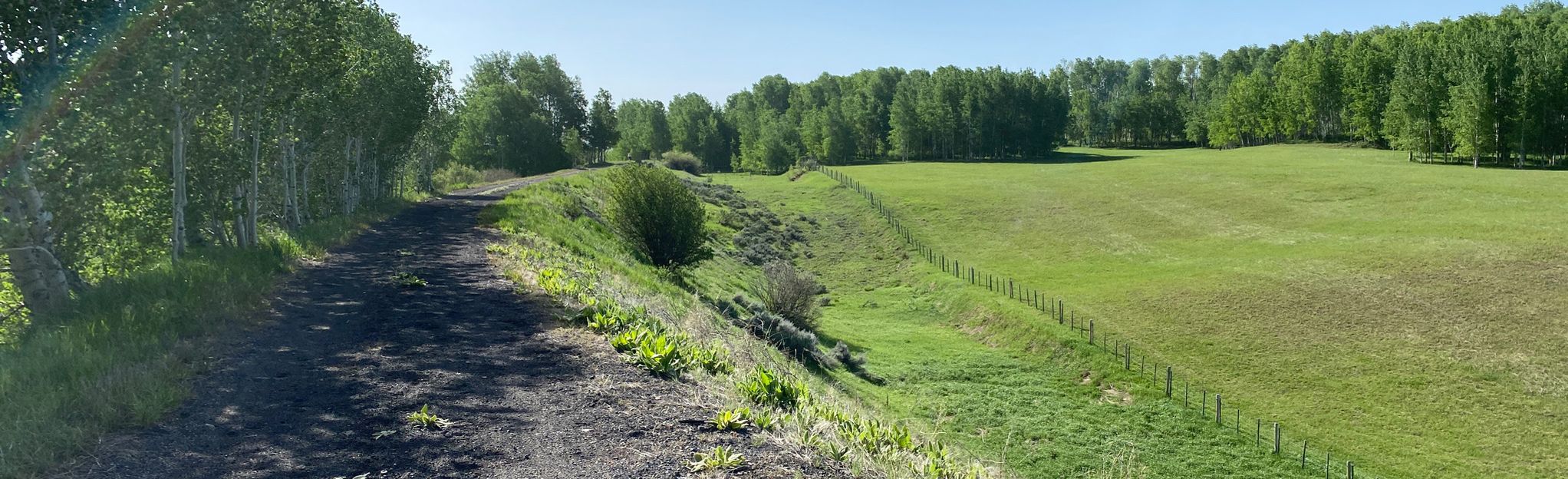 A Hike Through Time: The Ashton To Tetonia Trail, Idaho's Scenic Gem