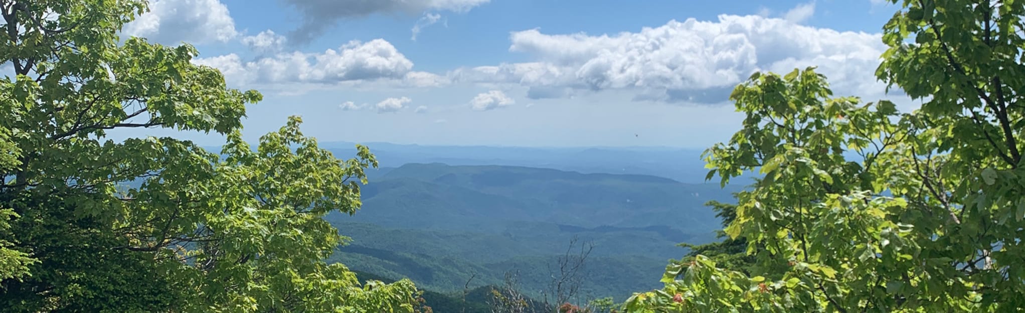 Jonas Ridge Trail to Hawksbill Mountain Summit, North Carolina 101
