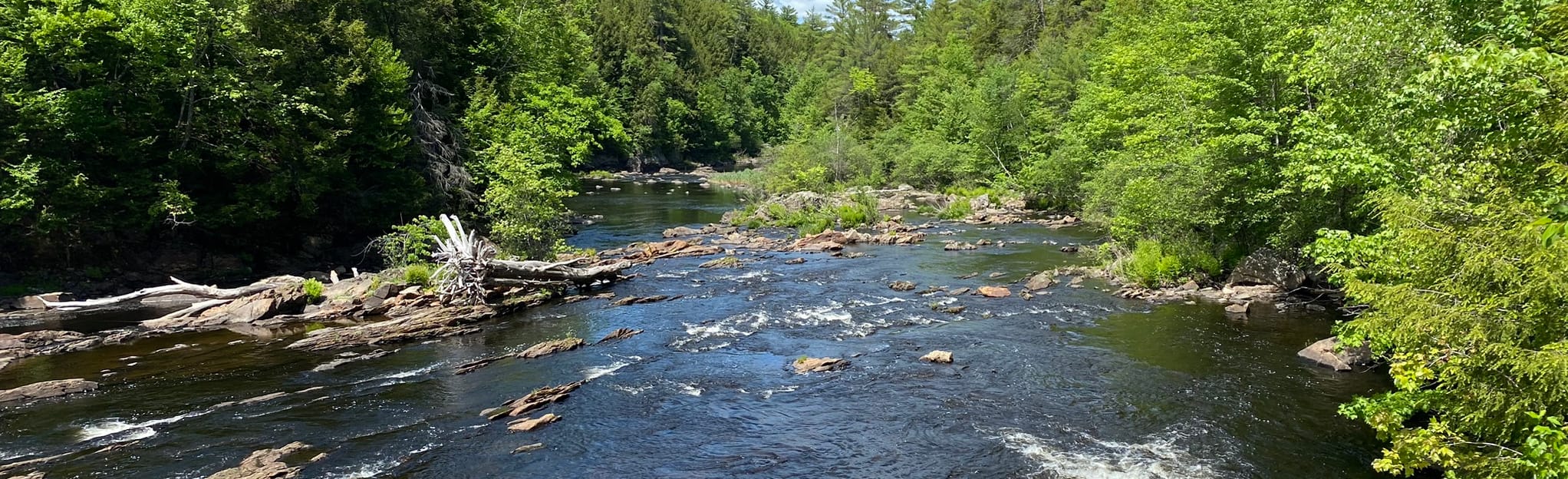 Contoocook River Park Trail System Loop 114 foto New Hampshire