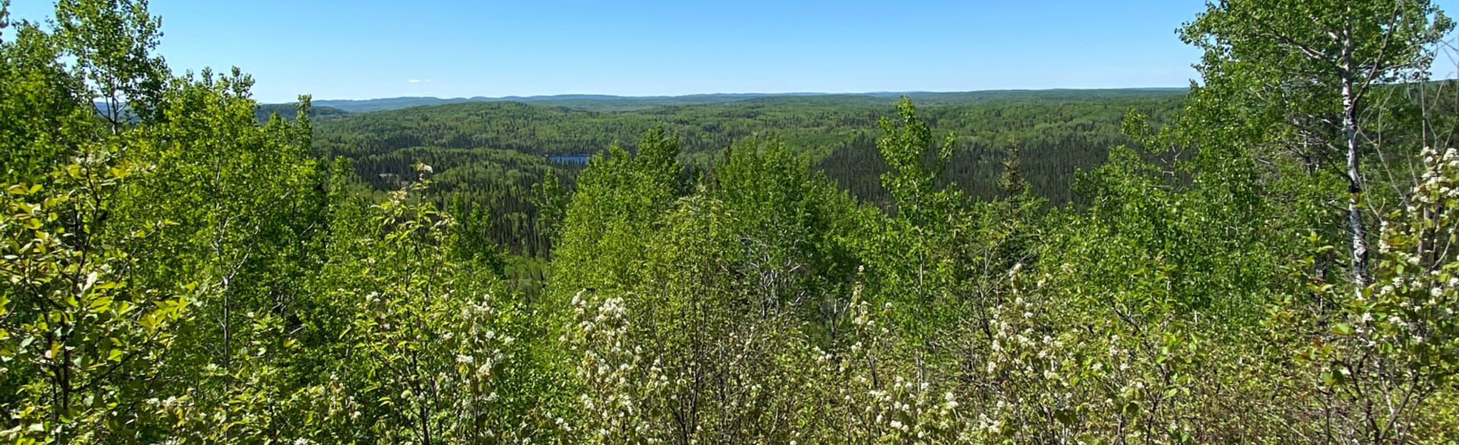 Silver Falls Trail to Lookout, Ontario, Canada 71 Reviews, Map