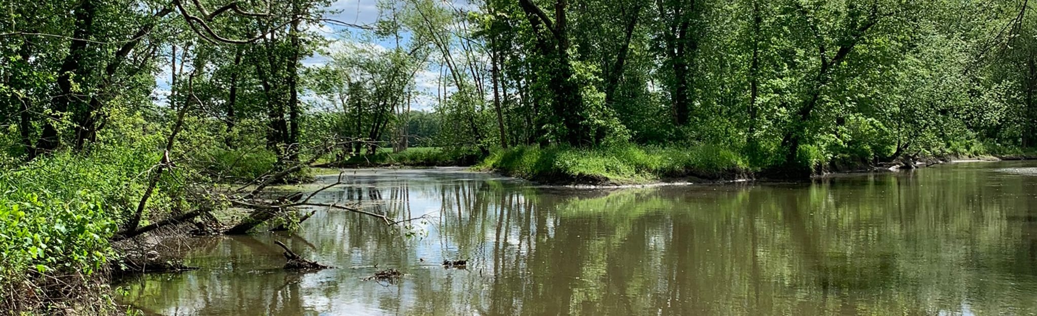 Dagmar Dale Loop Trail, New Jersey 275 Reviews, Map AllTrails