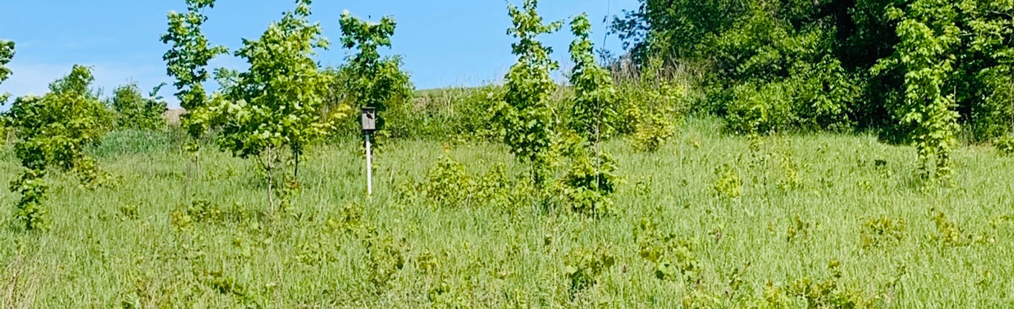 Schumacher Farm Park Loop 39 Reviews, Map Wisconsin AllTrails