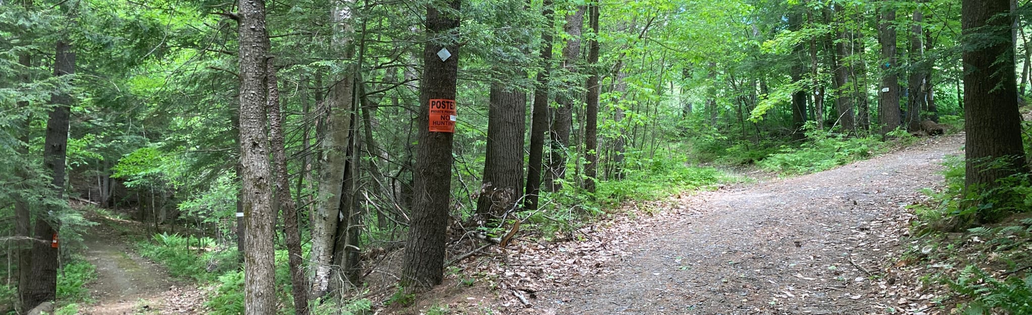 Putney School Trail, Vermont 6 Reviews, Map AllTrails