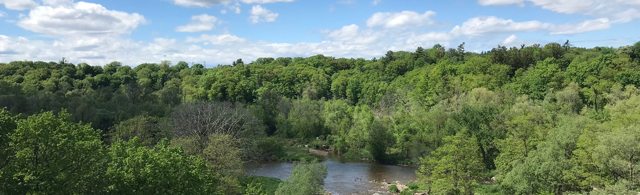 Mississauga Half Marathon, Ontario, Canada 3 Reviews, Map AllTrails