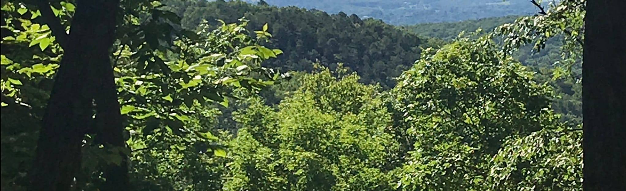 The Trough, Brushy Mountain Fire Road, and The Gauntlet Loop, Virginia ...