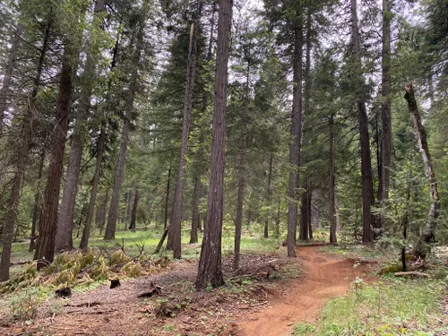 10 Best Trails and Hikes in Nevada City | AllTrails