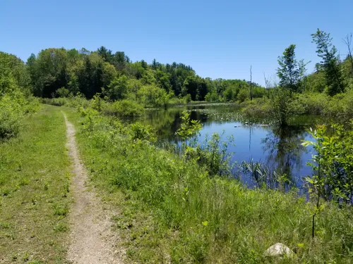 10 Best Hikes And Trails In Allegan State Game Area 