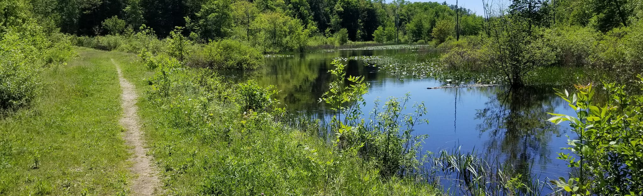 North Swan Creek Trail Loop 180 Reviews, Map Michigan AllTrails
