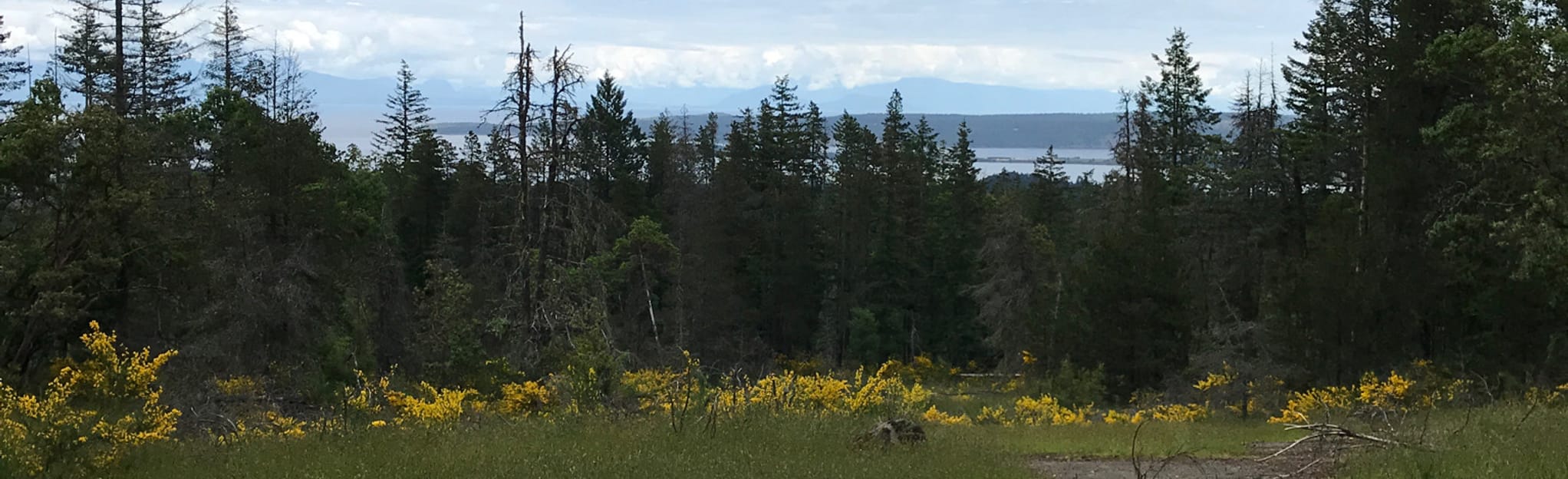 The Abyss and Creeper Loop 1 024 Photos ColombieBritannique