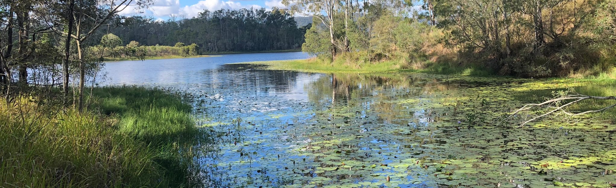 Mount Nebo to Lake Manchester Walk Map, Guide Queensland, Australia