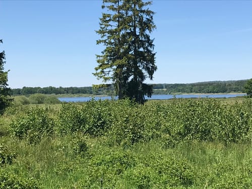 Erlebnisschleife Romantische Seenplatte