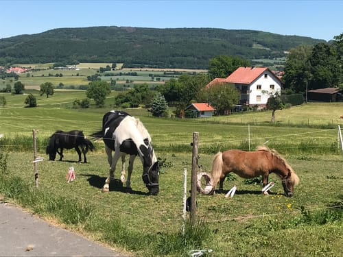 Hofbieber Radtour zum ehemaligen Grenzgebiet