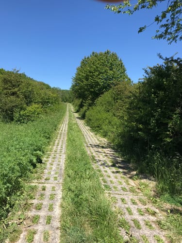 Hofbieber Radtour zum ehemaligen Grenzgebiet
