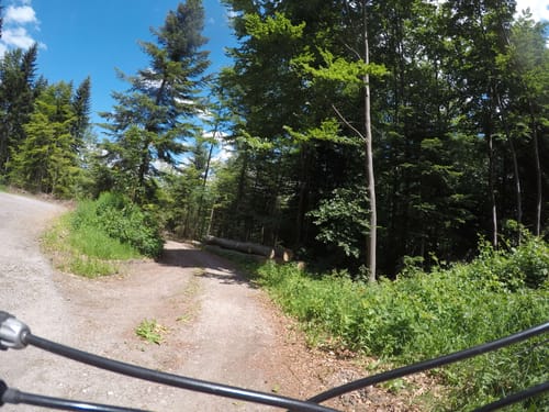 Radtour: Karlsruhe - Freiolsheim - Langensteinbach
