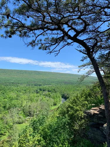 10 Best Long Trails in Bald Eagle State Forest | AllTrails