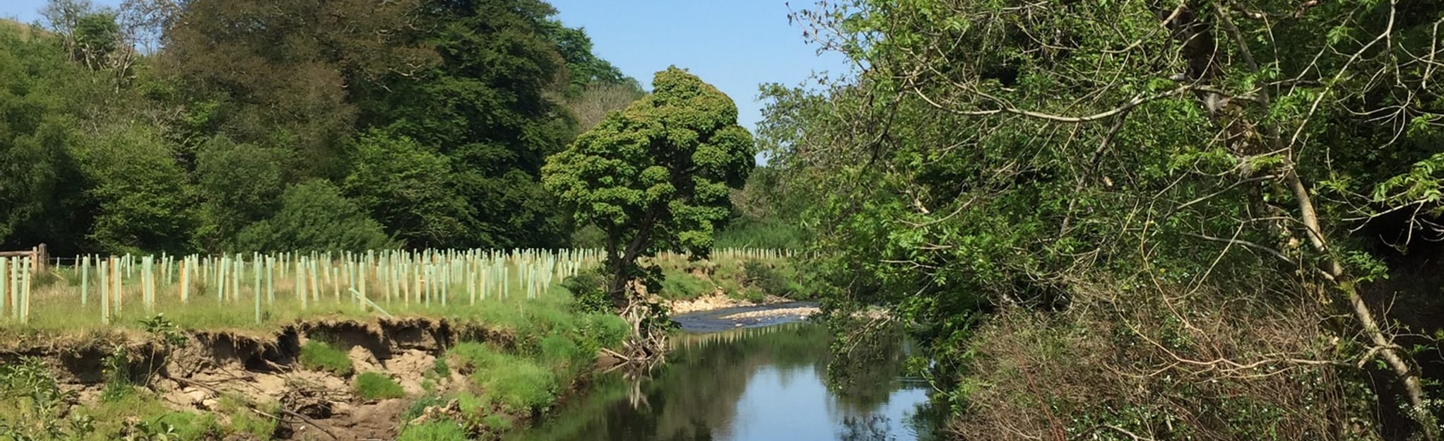 Brackfield Park - River Faughan, Derry City and Strabane, Northern ...