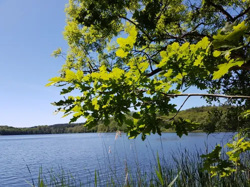 Naturaleza en el Naturpark Westensee