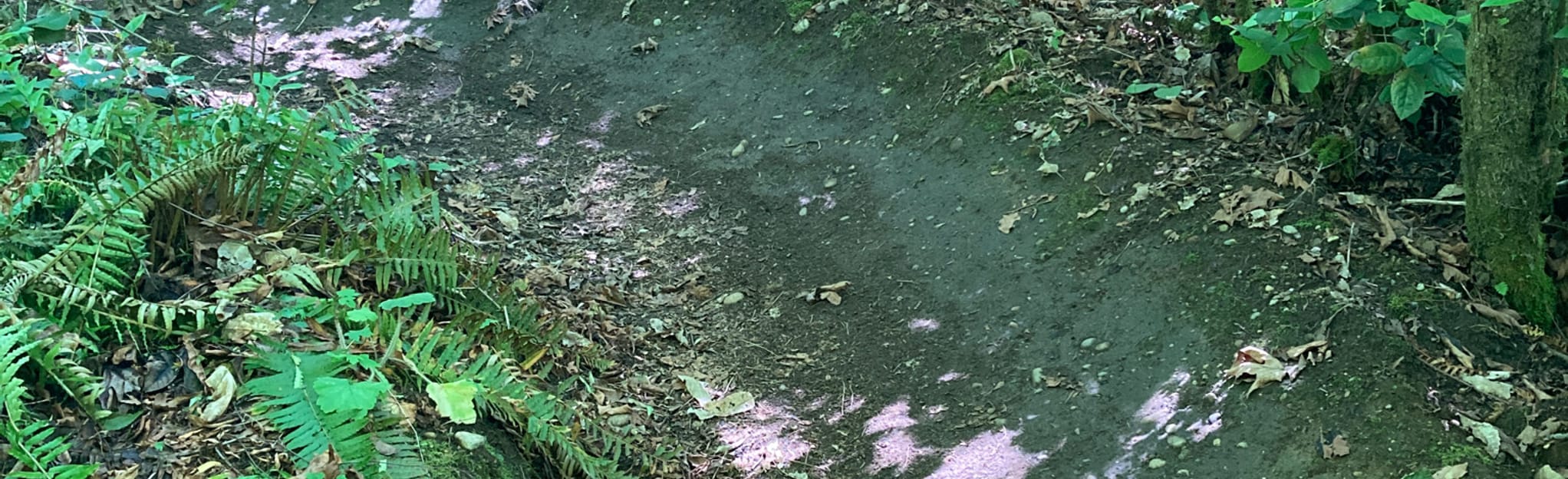 Crop Circles, Tapeworm, Silkworm and Parasite Trail 94 Reviews, Map