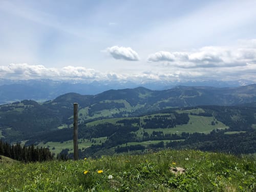 Steinköpfle und Mittelbergalpe von Immenstadt im Allgäu