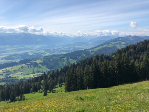 Steinköpfle und Mittelbergalpe von Immenstadt im Allgäu