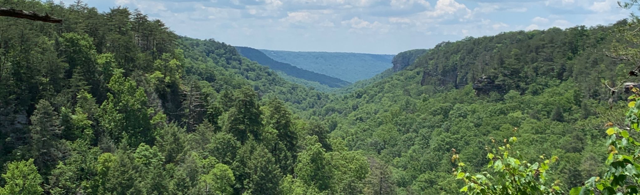 Savage Gulf North Rim To South Rim, Tennessee - 125 Reviews, Map 