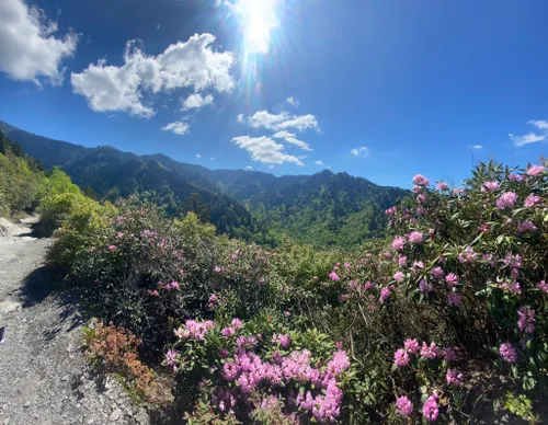 Best trails in outlet smoky mountains national park