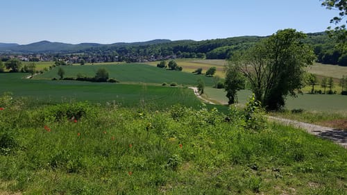 SA1 Rundwanderweg um Lauenstein bei Salzhemmendorf