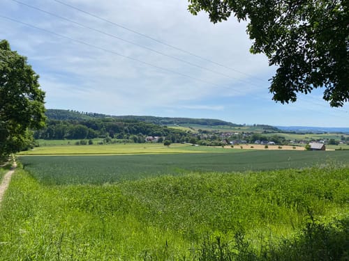 Westerberger Weg