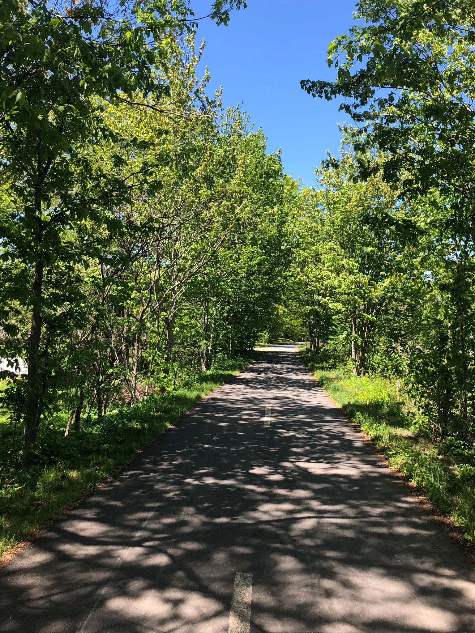 Northside Trail / #CanadaDo / Best Horseback Riding Trails in New Brunswick 