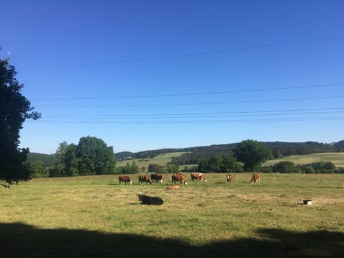 Hengstbach und Himmberg