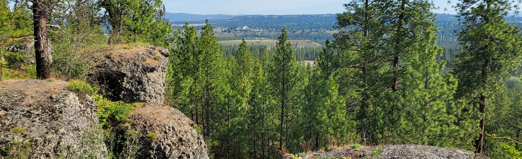 AllTrails Palisades Park Outer Loop 179 Reviews, Map Washington