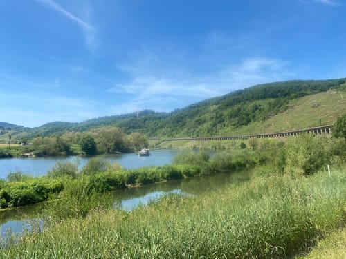 Mosel Radweg Etappe 7: Traben-Trarbach - Bullay