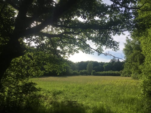 Hengstbach und Himmberg