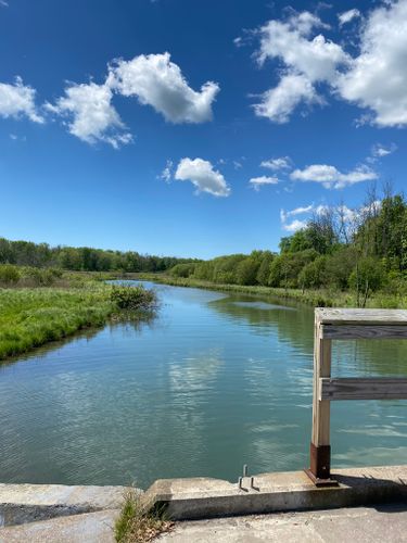 2023 Best trails in Buckhorn Island State Park | AllTrails