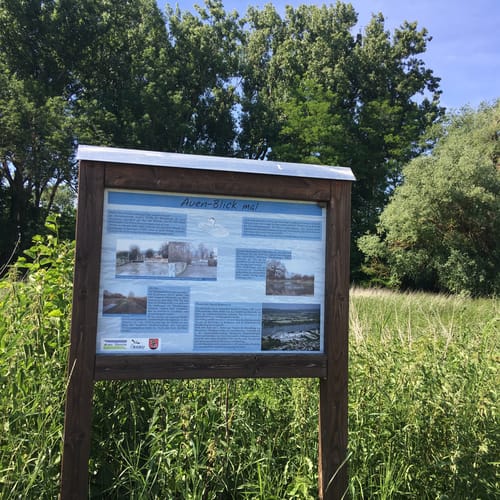 Heidenfahrt bis Budenheim am Rhein